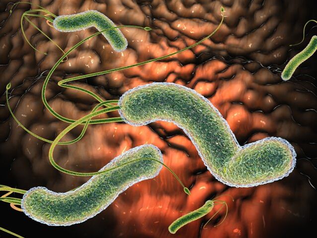 Parassiti nocivi nel corpo umano